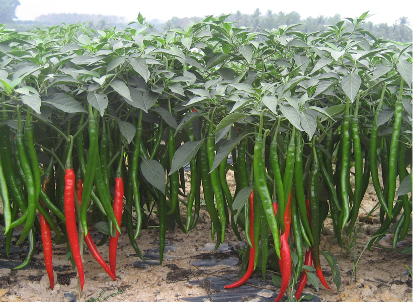 贝博西甲bb:发个黄色黄色片子网站 - 发个片子网站下载手机版V31